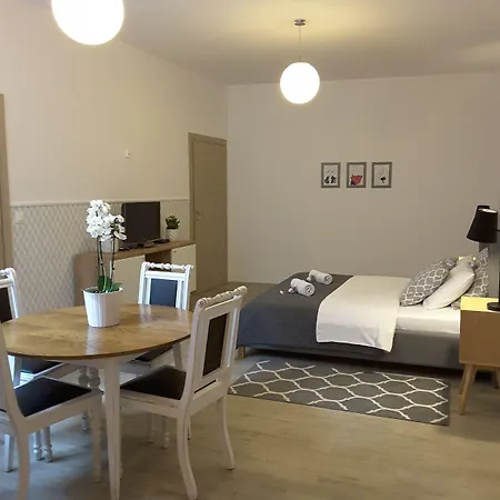 Hostel Blooms Boutique By Friendly Πόζναν