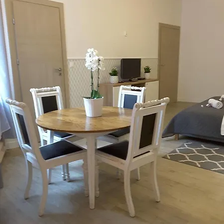 Blooms Boutique Hostel *